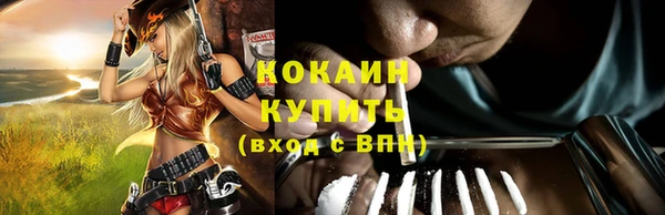 spice Гусиноозёрск
