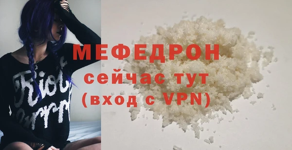 твердый Гусев