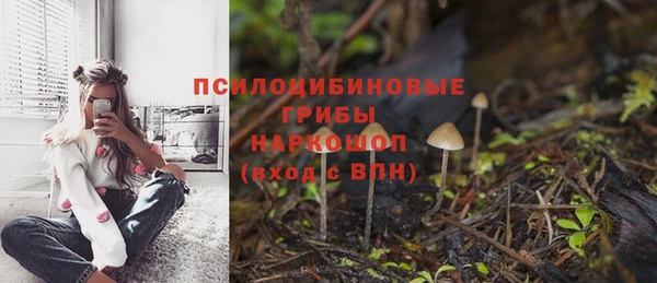 круглые Дмитриев