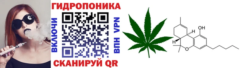 Бошки марихуана VHQ  Купить закладки  Нестеровская 